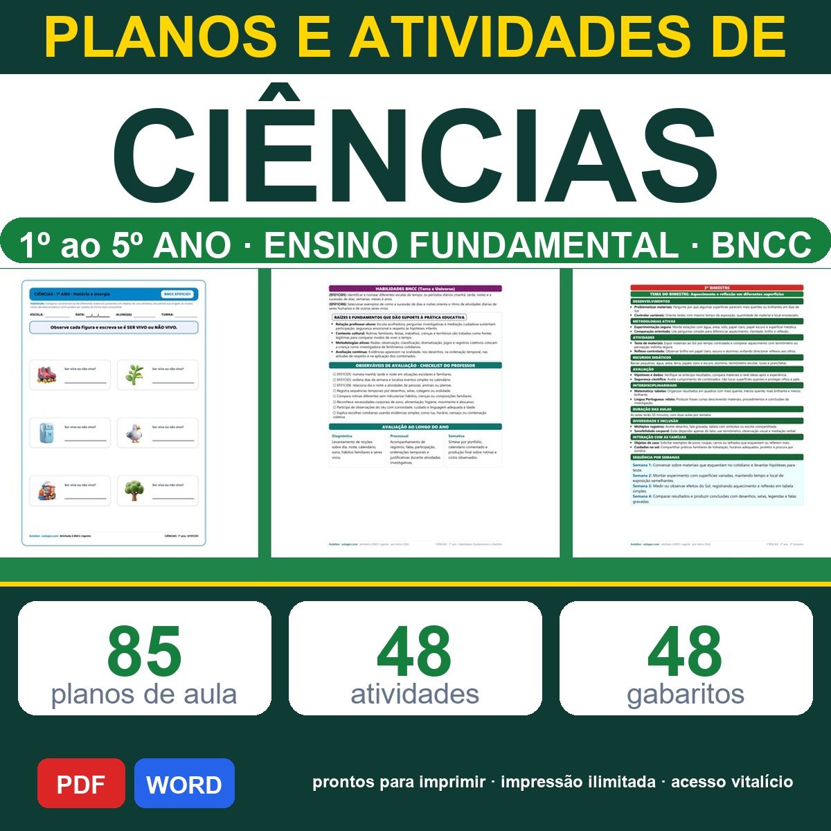 Planos e Atividades de Ciências 1º-5º ano